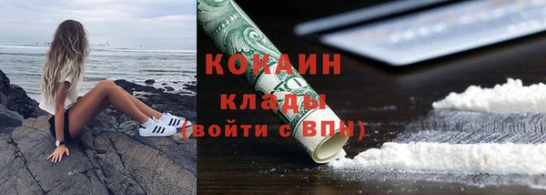 ПСИЛОЦИБИНОВЫЕ ГРИБЫ Козловка