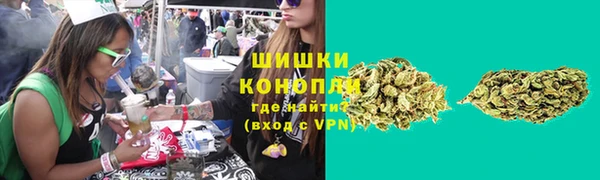 гидра Козельск