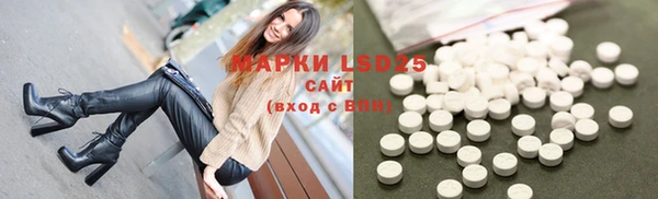 ПСИЛОЦИБИНОВЫЕ ГРИБЫ Козловка