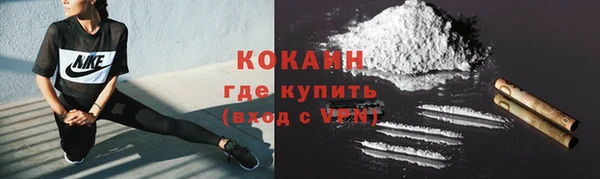 ПСИЛОЦИБИНОВЫЕ ГРИБЫ Козловка