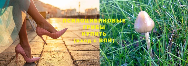 ECSTASY Кодинск