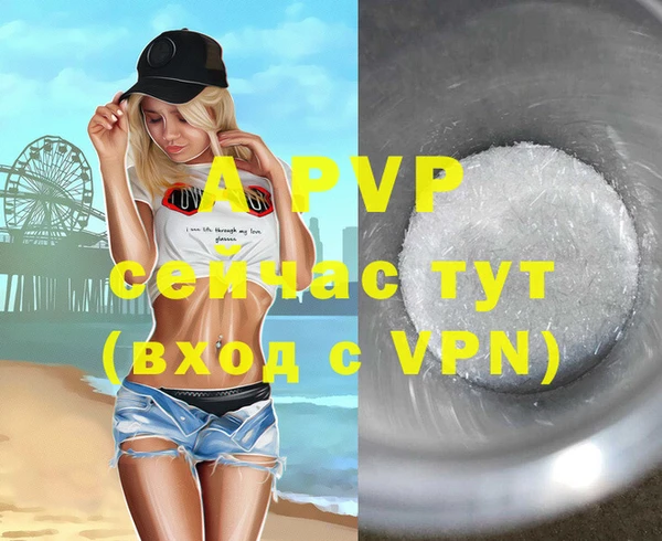 ПСИЛОЦИБИНОВЫЕ ГРИБЫ Козловка