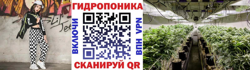 наркота  Костомукша  Канабис семена 